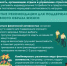 Неделя популяризации активных видов спорта - Ковернинский муниципальный округ